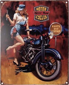 Farebná antik nástenná kovová ceduľa Motor Speed King Cycles - 20*1*25 cm