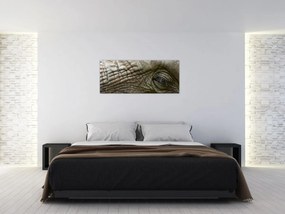Obraz - Detailné fotografie starého slonieho oka (120x50 cm)