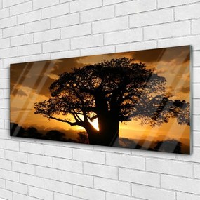 Obraz na akrylátovom skle Strom príroda 125x50 cm