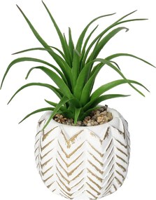 Dekorácie Aloes II 14cm