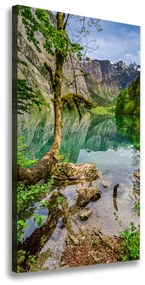 Vertikálny foto obraz na plátne Jazero v horách ocv-120186723