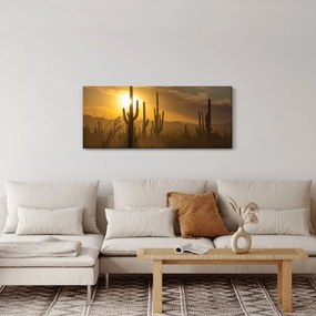 Obraz - Kaktusy Saguaro (120x50 cm)