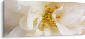 Obraz - Kvet (120x50 cm)