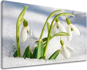 Obraz na stenu KVETY KV024E11 - 40x60 cm