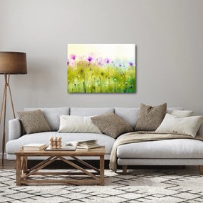 Obraz - Lúčne kvety (70x50 cm)