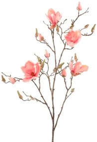 Magnolia Pink 105 cm