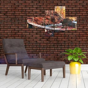 Obraz mosta - jesenné cesta lesom