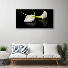 Obraz na plátne Kvety rastlina 140x70 cm