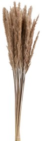 Zväzok sušené trávy hnedé - 9 * 9 * 82 cm