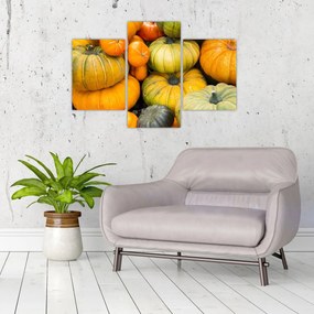 Obraz - Jesenná tekvica (90x60 cm)