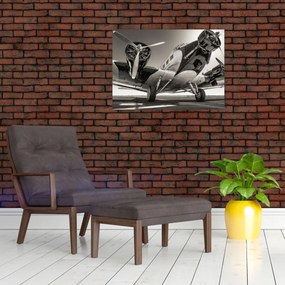Obraz - Historické lietadlo (70x50 cm)