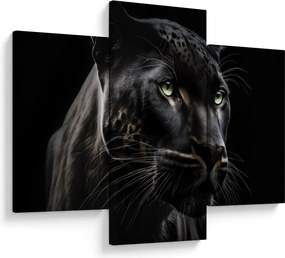 Obraz - Čierny panter (90x60 cm)