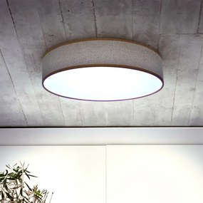 Brilagi - LED Stmievateľné stropné svietidlo CARMEN LED/48W/230V 3000-6500K + DO