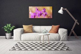 Obraz Canvas Orchidea výhonky kvety príroda 125x50 cm