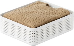Rotho Úložný box do zásuvky, šatníkový organizér LISORA EXTRA LARGE, 31 x 25,8 x 10 cm
