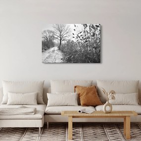 Obraz - Pole v zime (90x60 cm)