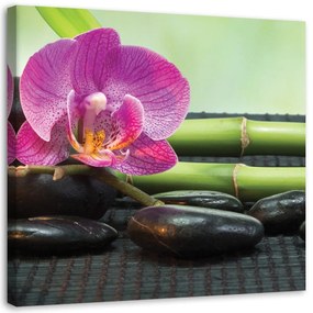 Obraz na plátně Lázně Zen Orchidej Květiny - 30x30 cm