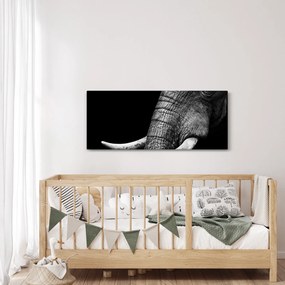 Obraz - Slonie kly (120x50 cm)