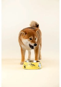 Miska pre psov Moomin Pets M, žltá