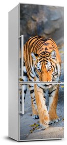 Nálepka fototapeta chladnička Tiger FridgeStick-70x190-f-122340685