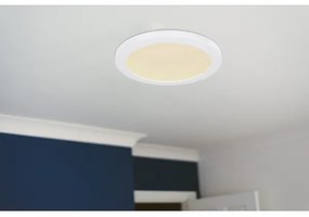 Globo 12379-24W - LED Stropné svietidlo LASSE LED/24W/230V