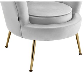 Svetlosivé zamatové kreslo Kelsey – Støraa