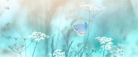 Obraz - Motýlik v modrom (120x50 cm)