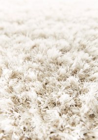 Osta, Kusový koberec Rhapsody 2501 100, 200x290, biela, obývacia izba