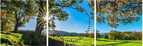 Obraz - Výhľad na pole (s hodinami) (90x30 cm)