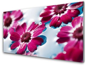 Obraz plexi Kvety na vode príroda 140x70 cm