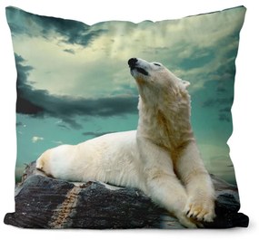 Vankúš Zimný medveď (Veľkosť: 55 x 55 cm)