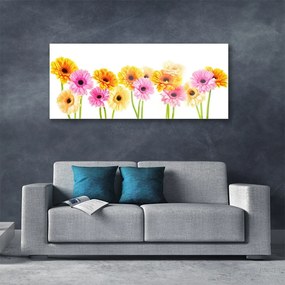 Obraz plexi Farebné kvety gerbery 125x50 cm