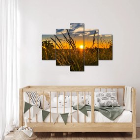 Obraz pole pri západe slnka (150x105 cm)