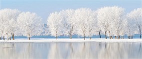 Obraz zimnej krajiny (120x50 cm)