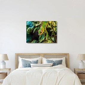 Sklenený obraz chameleóna (70x50 cm)