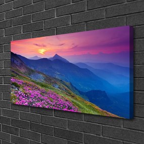 Obraz na plátne Hory lúka kvety príroda 125x50 cm