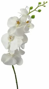Umelá Phalenopsis biela, 86 cm