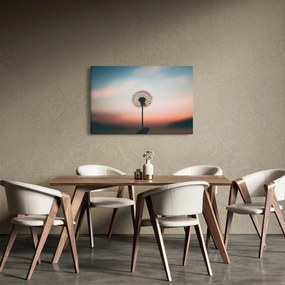 Obraz - Držím ťa, púpava (90x60 cm)
