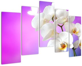 Obraz s orchideí