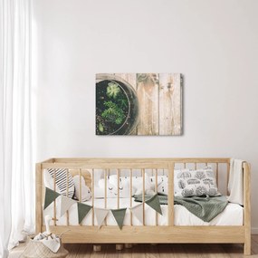 Obraz sukulentov v skle (70x50 cm)