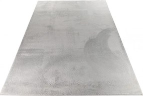 TA Koberec 5000 SIVÝCH MAZNÁČIKOV Rozmer: 80x150 cm