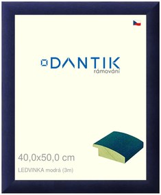 DANTIK rám na obraz 40x50 | LEDVINKA modrá (Sklo Čiré)