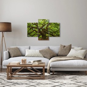 Obraz - Zelený strom (90x60 cm)