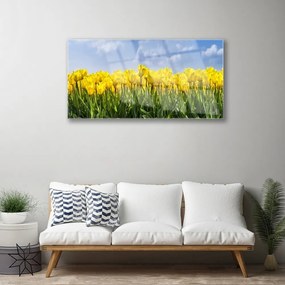 Skleneny obraz Tulipány kvety rastlina 120x60 cm