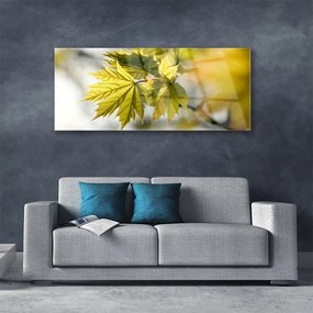 Obraz na akrylátovom skle Listy rastlina 125x50 cm