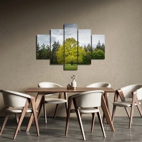 Obraz zeleného stromu uprostred poľa (150x105 cm)