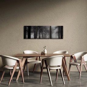 Obraz - Les v hmle (s hodinami) (90x30 cm)