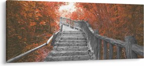 Obraz - Schody v prírode, oranžová (120x50 cm)