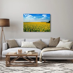 Obraz - pás slnečníc (90x60 cm)