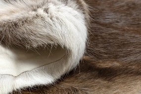 Koberec RENIFER POK008 hnedý / béžový